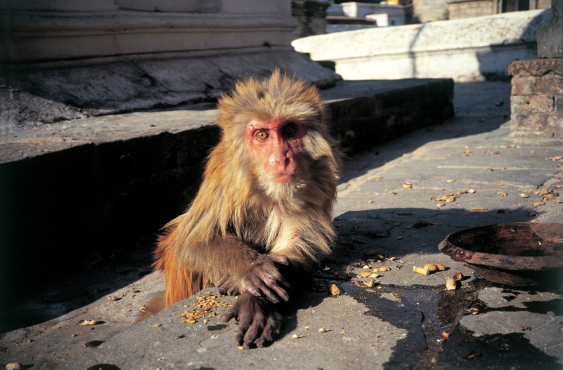 Kathmandu, Nepal. 1989